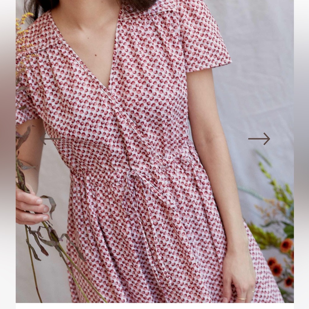 NWT Dawn dress in thulian anemone